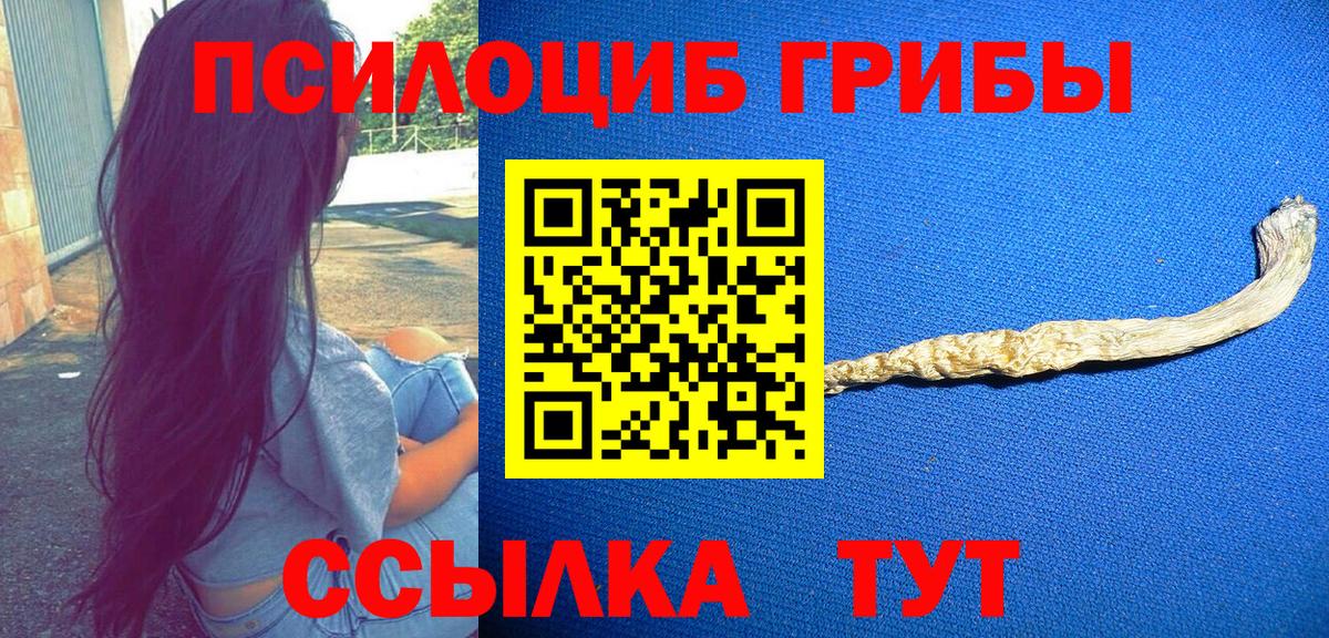 Псилоцибиновые грибы Psilocybine cubensis  Псилоцибиновые грибы MAGIC MUSHROOMS  Воркута  Вход с VPN 